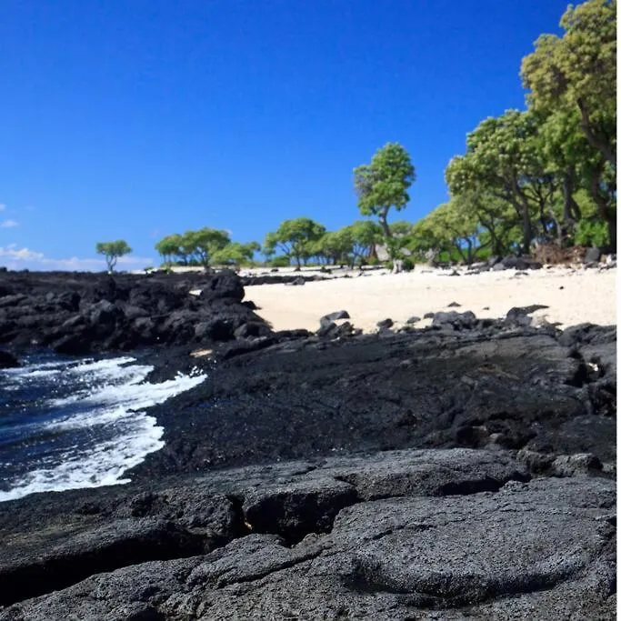 Beautiful Oceanfront Welcomes You At Hale Kona Kai 203 By Casago Kona Kailua-Kona 0*,  United States